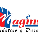 MAGINSA